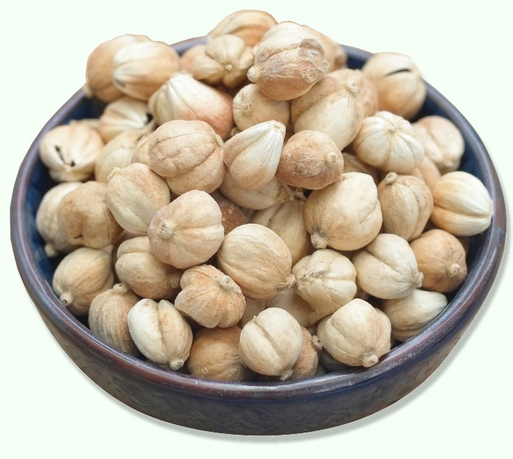 圓(白)豆蔻進(jìn)口報關(guān)需準(zhǔn)備什么？與清關(guān)過程